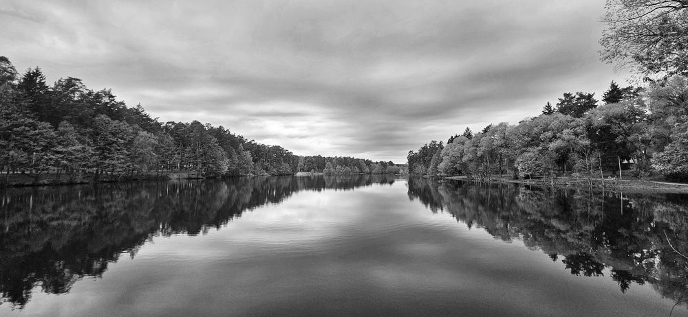 Photograph by Оксана Новикова