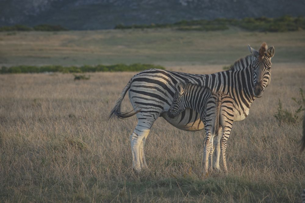 Photograph by Валентина Комарова