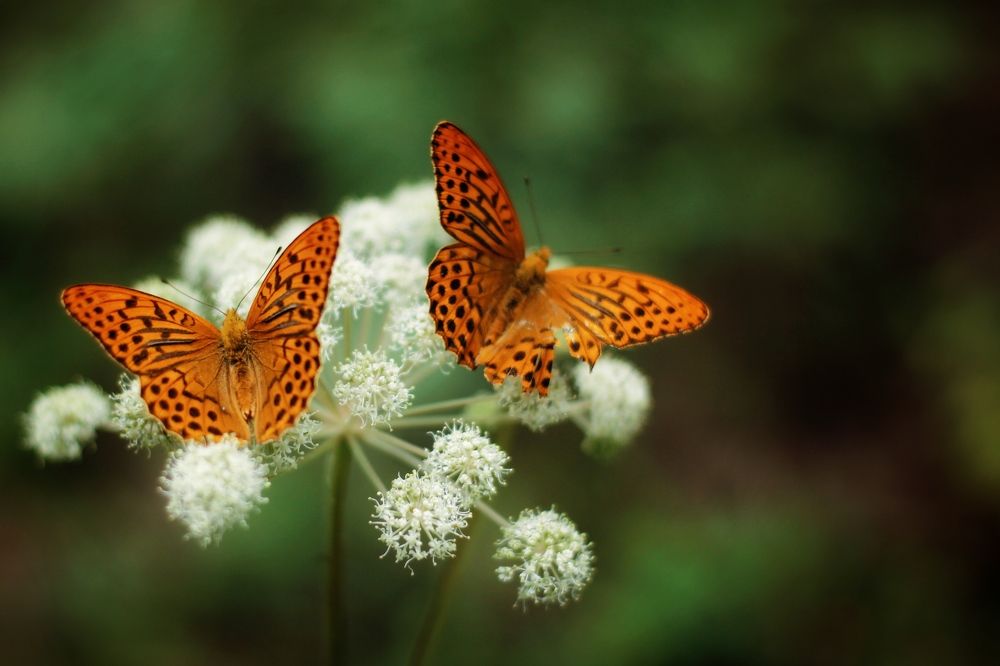 Photograph by Астафьева Анастасия