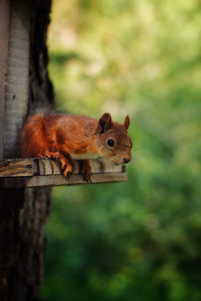 Photograph by Астафьева Анастасия