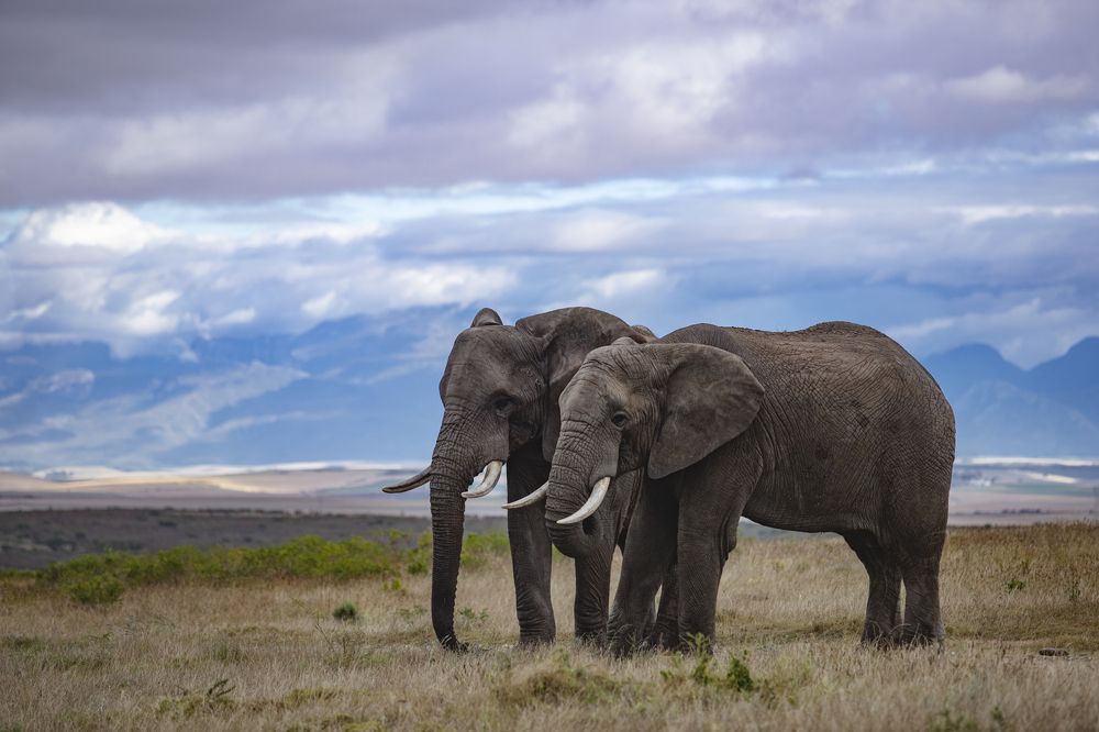 Photograph by Валентина Комарова