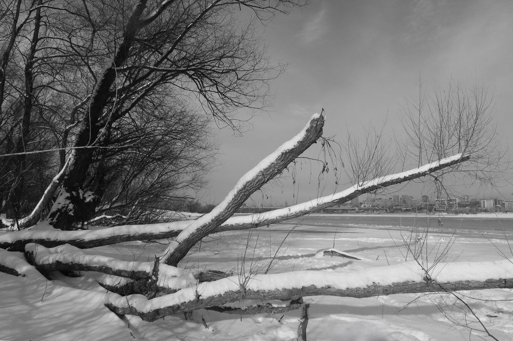 После первого снегопада