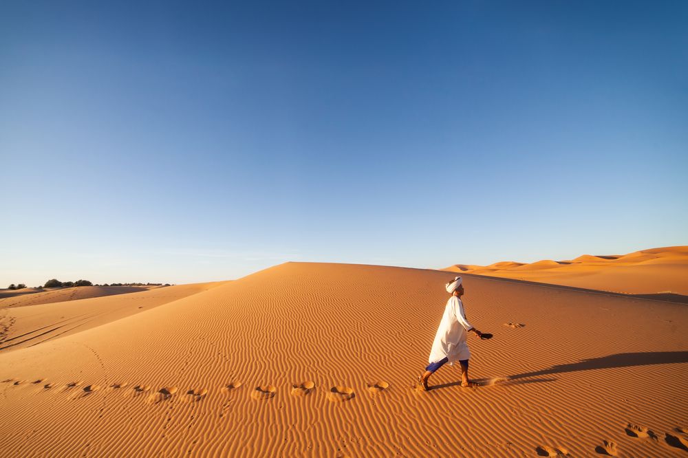 Photograph by Алексей Пирязев