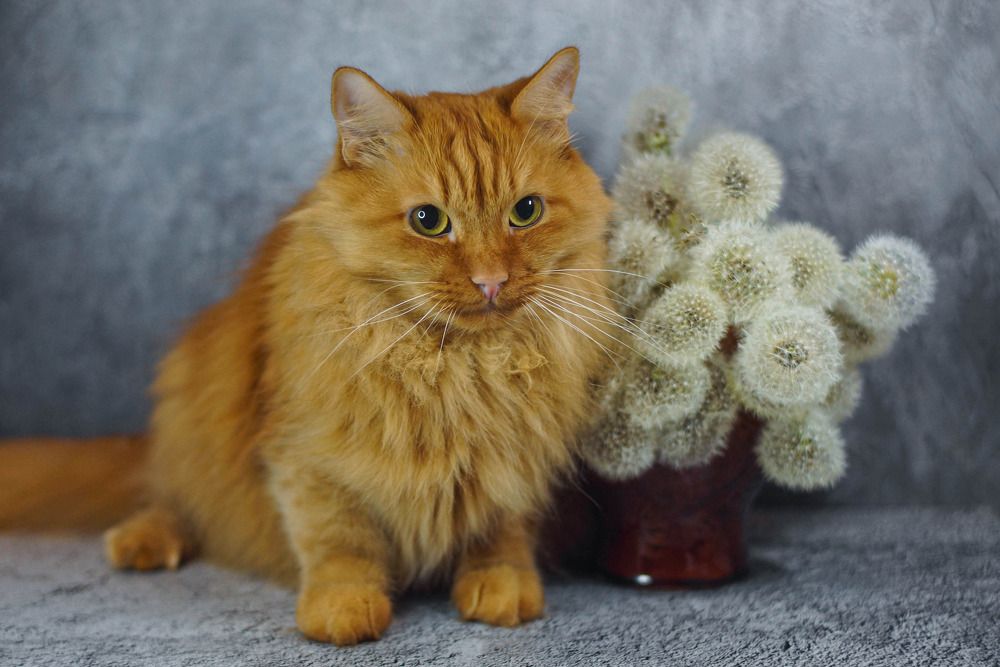 Photograph by Наталья Екимова