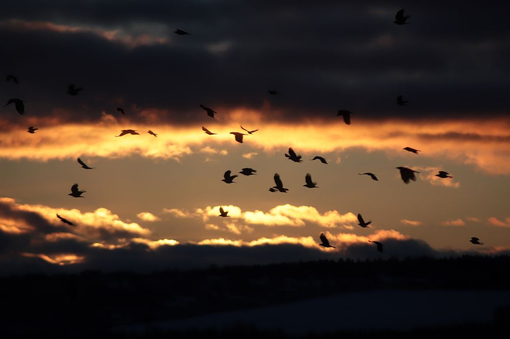 Photograph by Елена Гостева