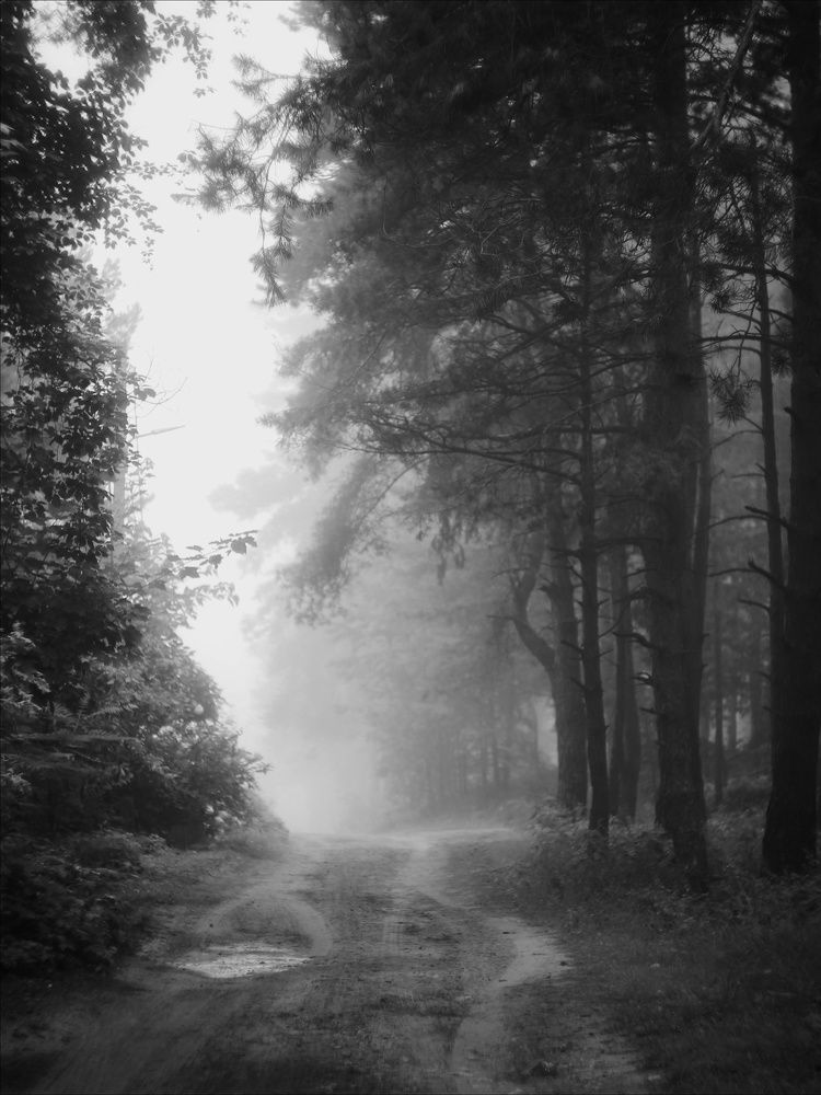 Photograph by Анна Любимова