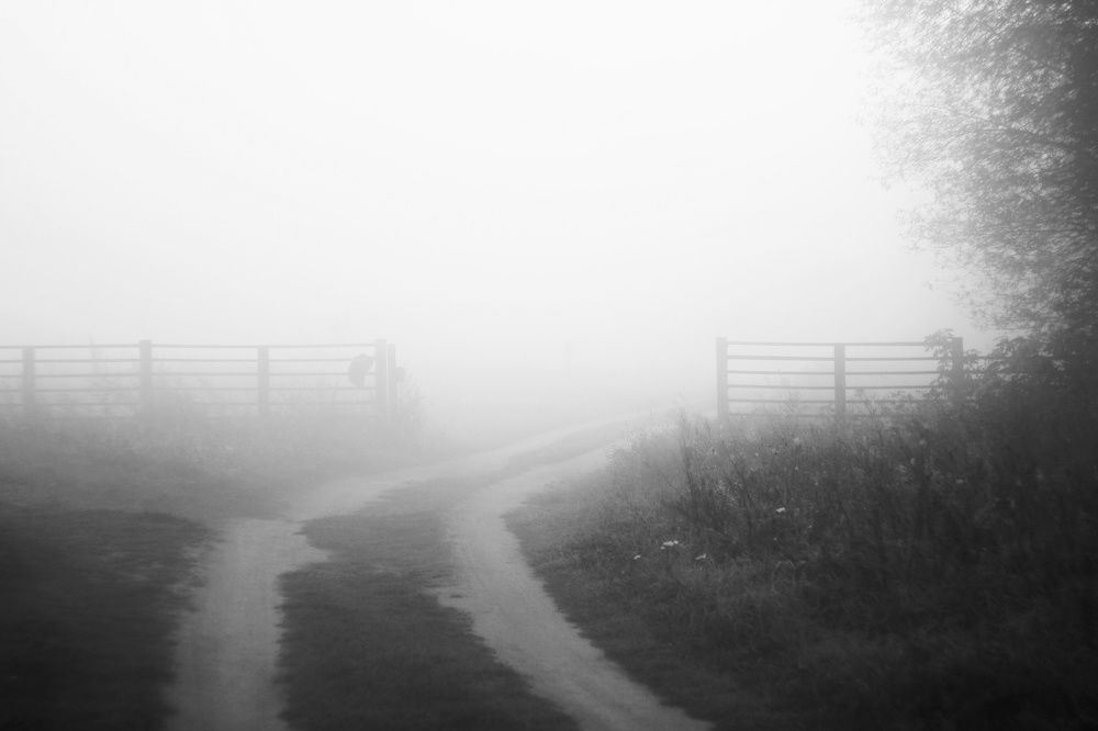 Photograph by Анна Любимова