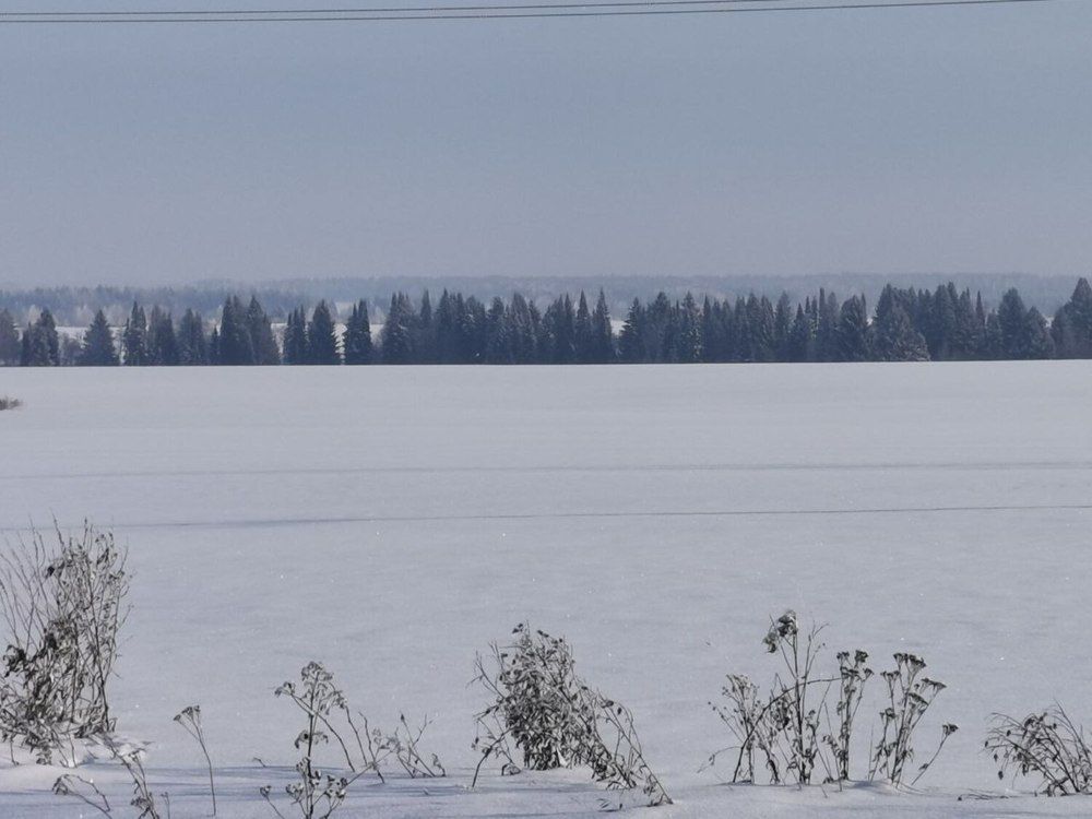 Фотография автора Андрей Богданов