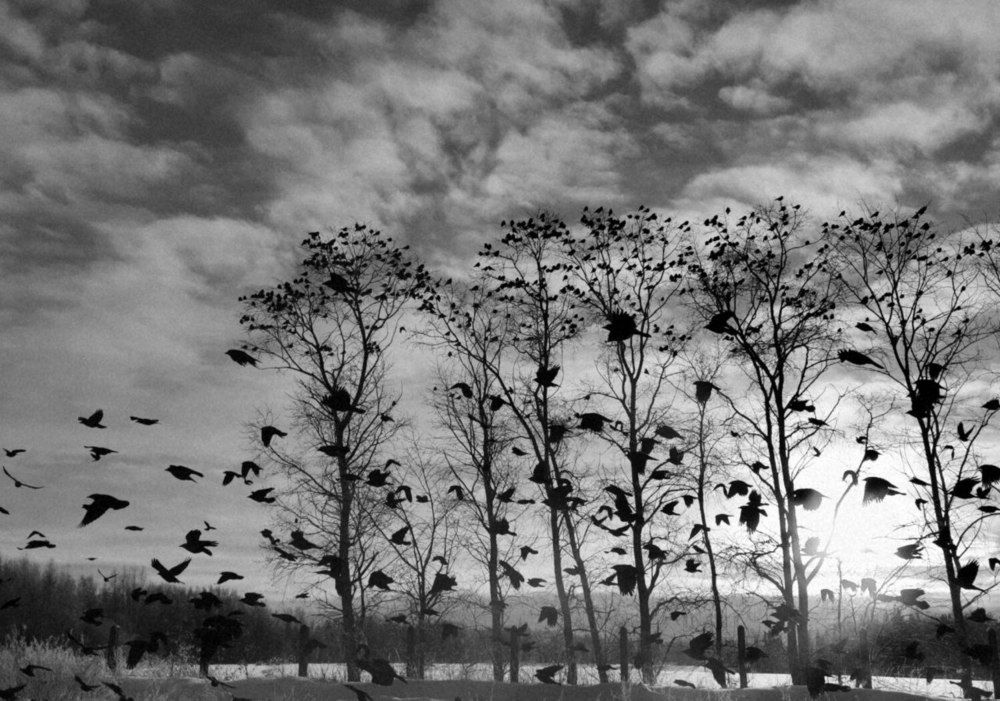 Фотография автора Андрей Богданов