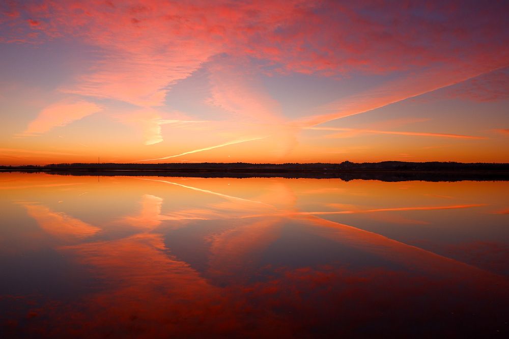 Фотография автора Elvijs Kalnins