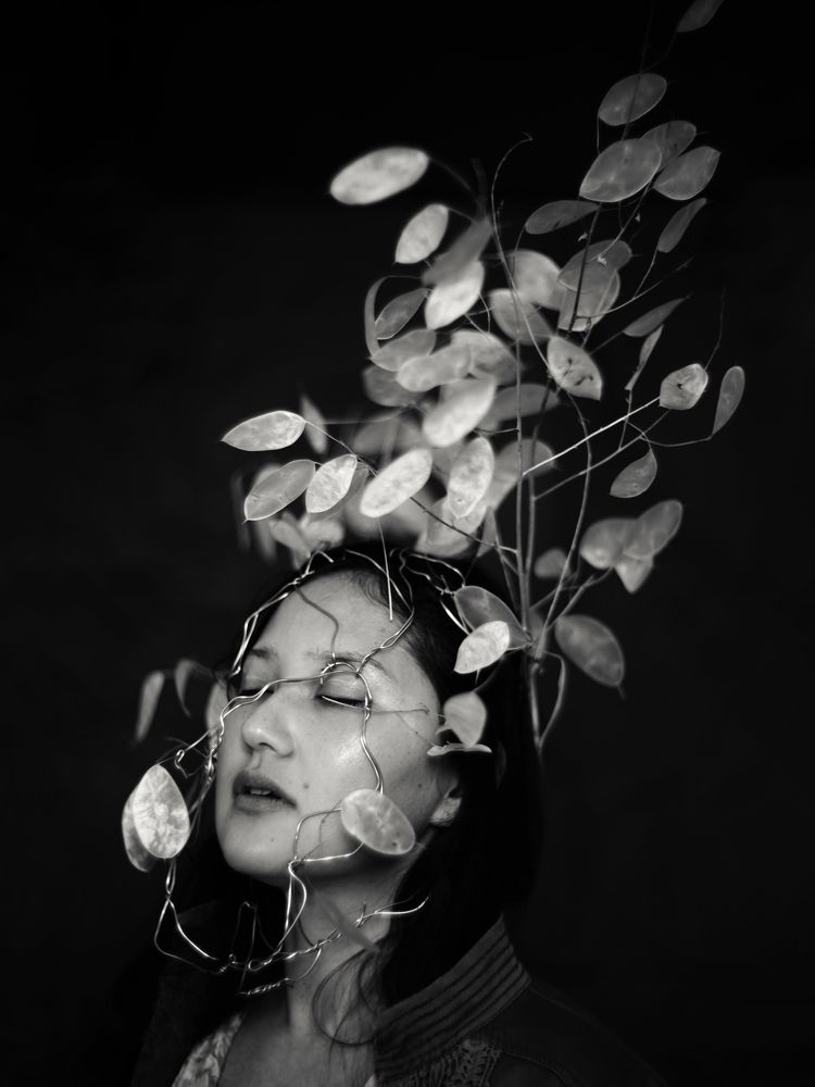 Фотография автора Полина Калашникова