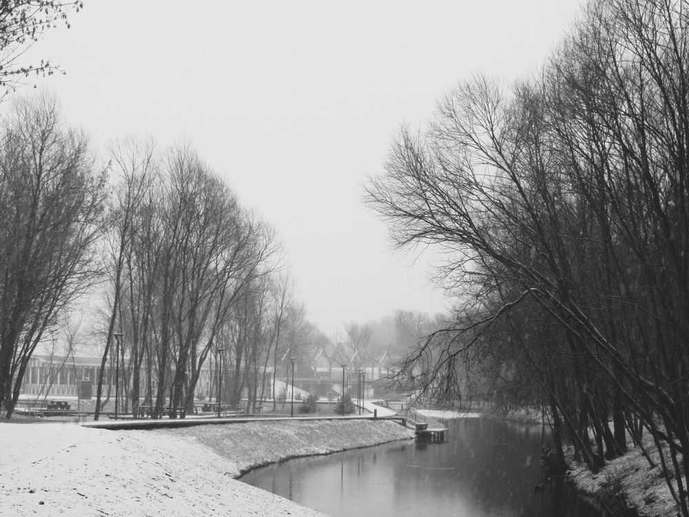 Photograph by Татьяна Поминова