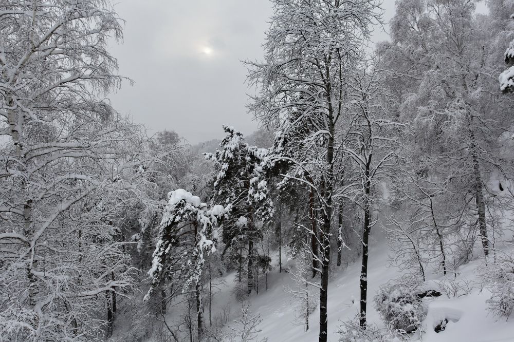 Фотография автора Nadezhda