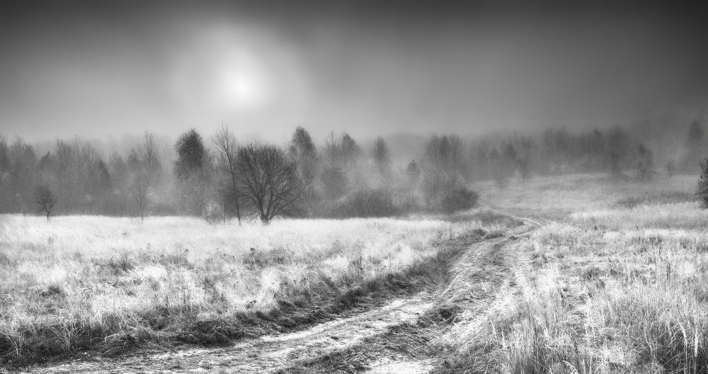 Photograph by Владимир