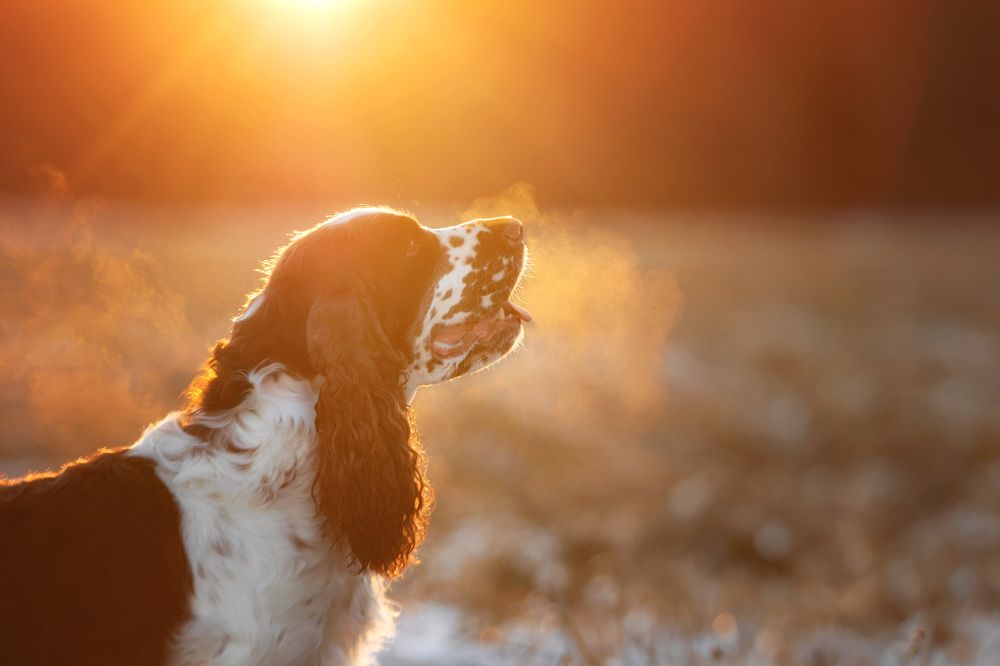 Photograph by Зубкова Юлия