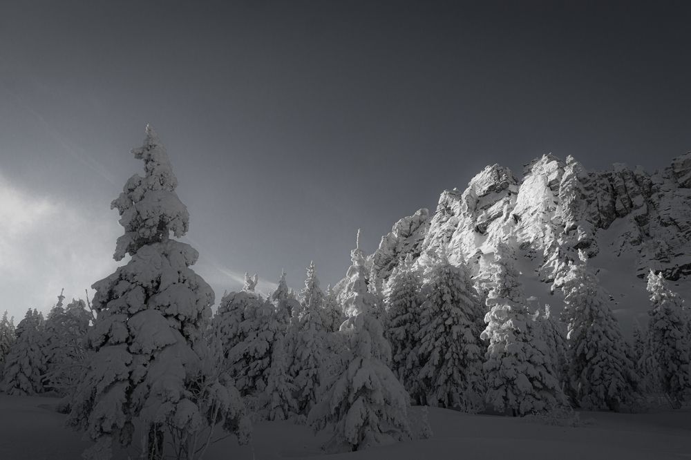 Photograph by Анастасия Сартакова