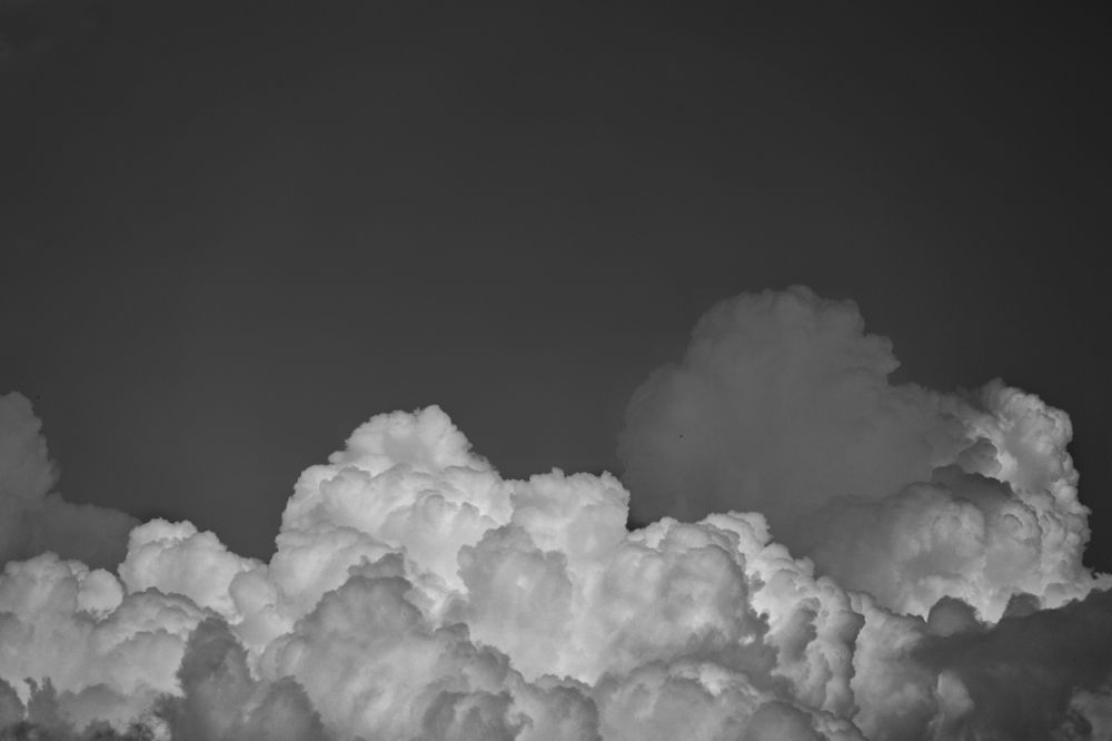 Фотография автора Tanaya Dhuri