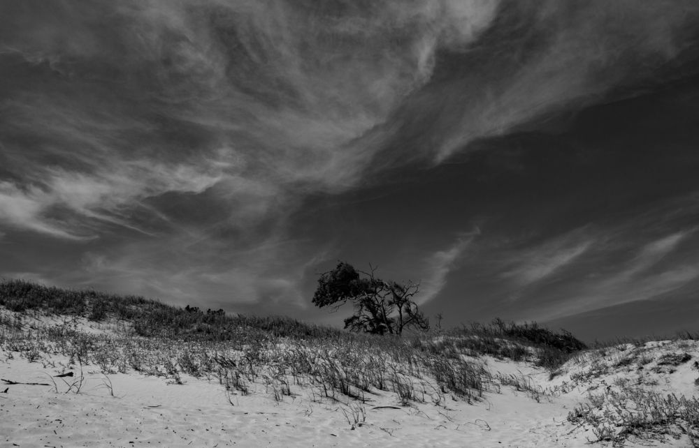 Photograph by Jorge Bagnuoli