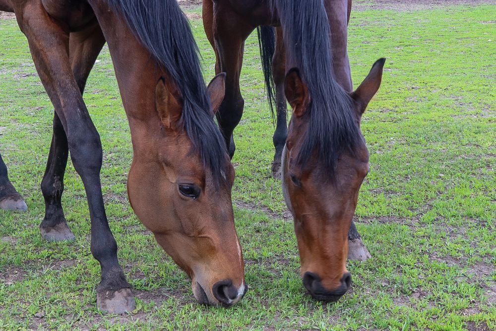 Photograph by Елена Рудкевич