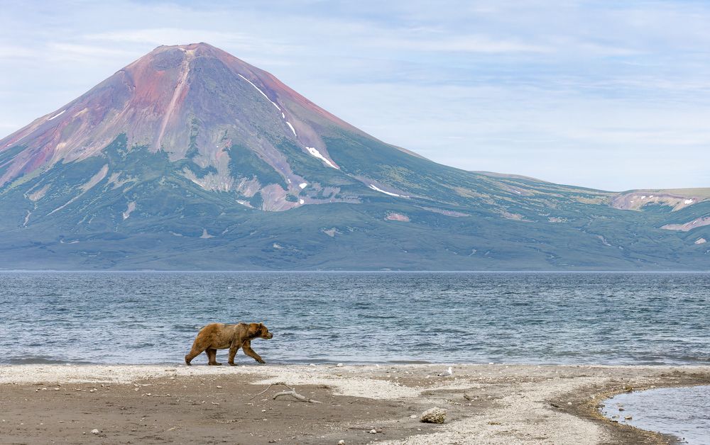 Photograph by Галина Павлова