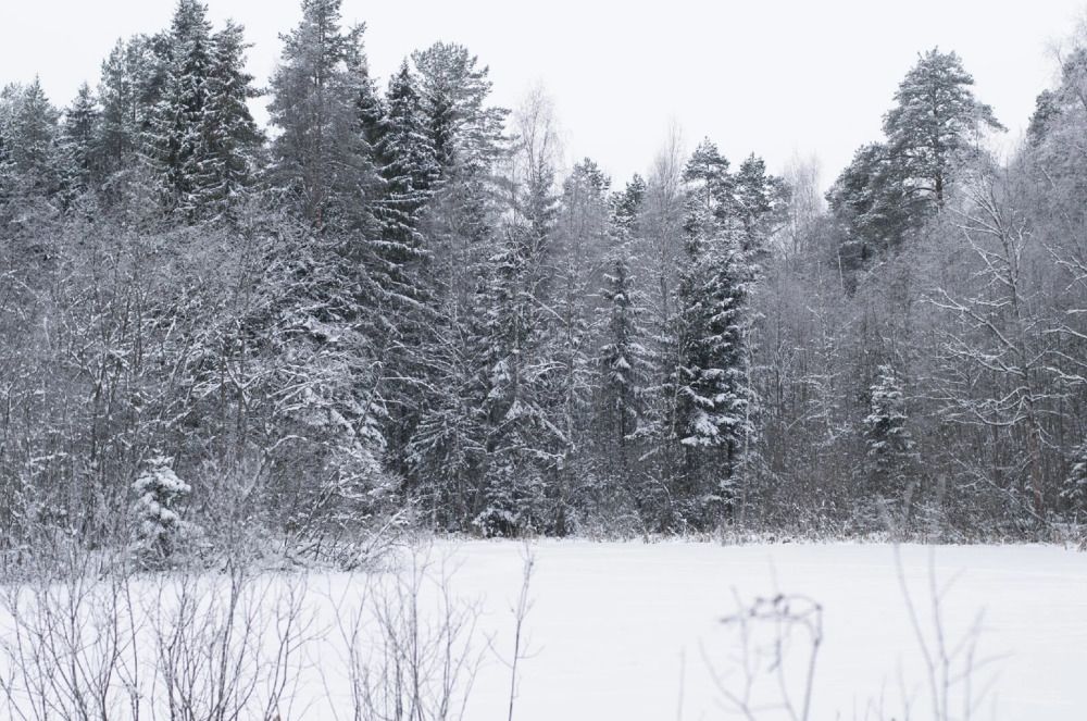 Photograph by Екатерина Одинцова