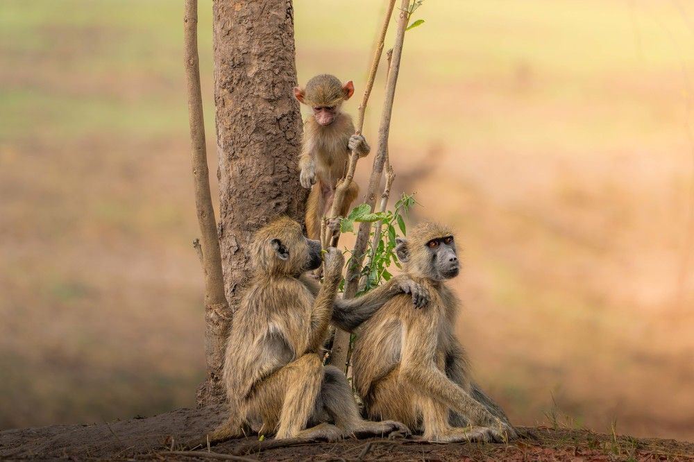 Photograph by Chris Stavrakas