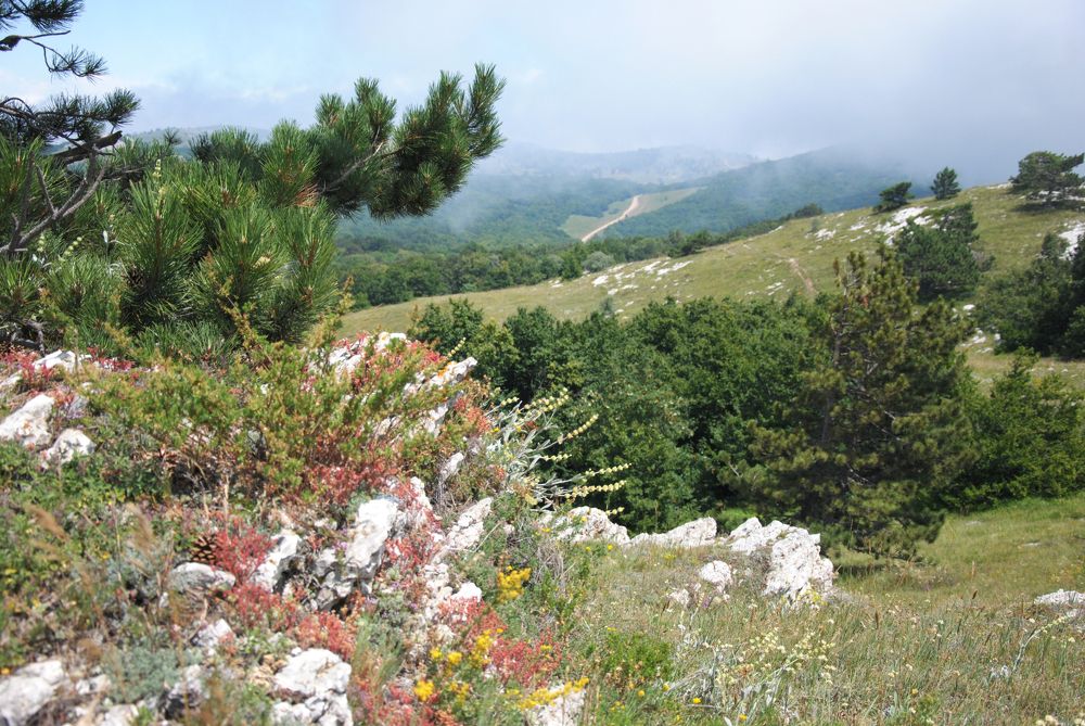 Photograph by Ольга Козлова