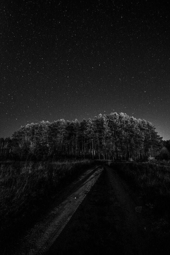 Photograph by Светлана Субботина