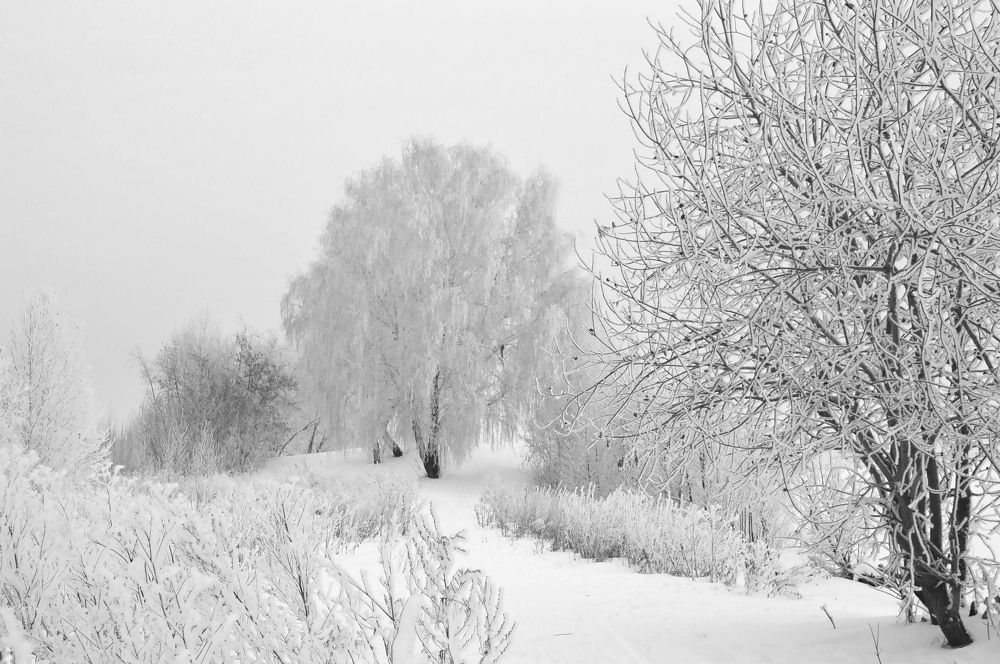 Photograph by Ирина Александрович