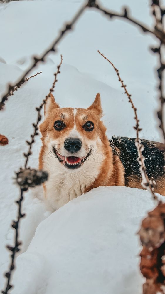 Фотография автора Ирина Павлова