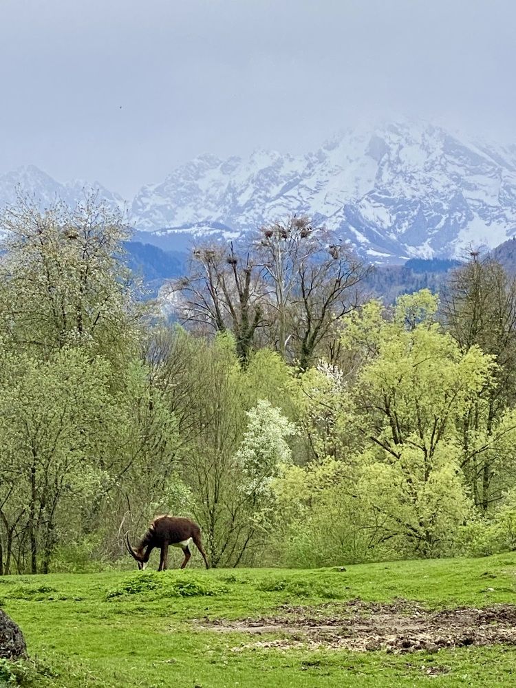 Photograph by Yana Ofitserova