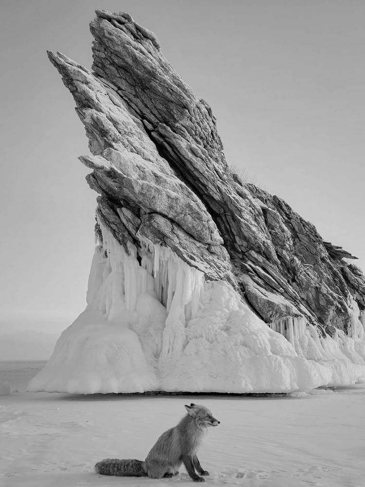 Photograph by Василий Яковлев