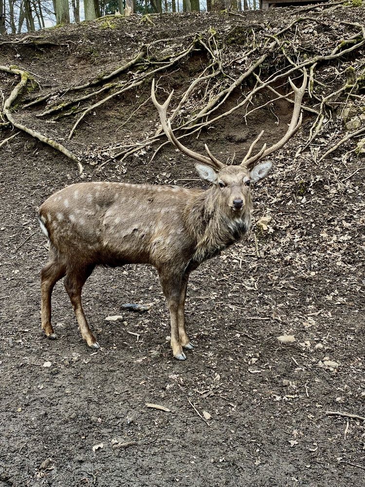 Photograph by Yana Ofitserova