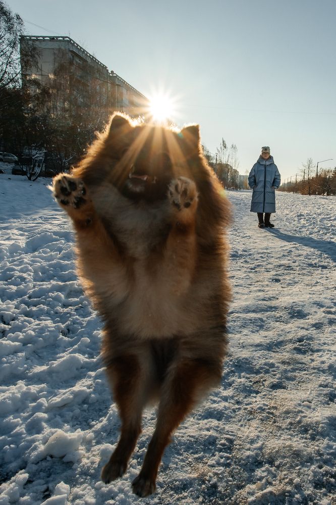 Photograph by Ирина Ладо