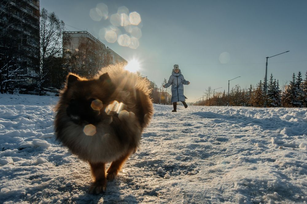 Photograph by Ирина Ладо