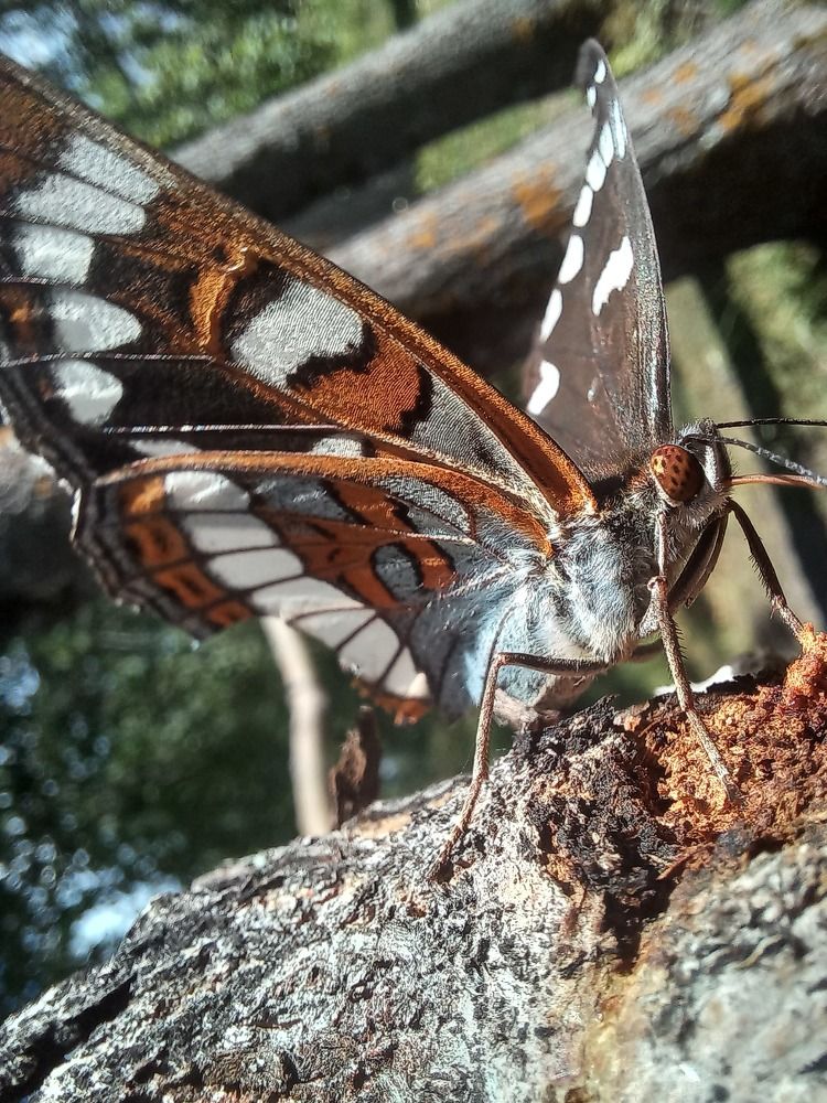 Photograph by Оля Горбанева