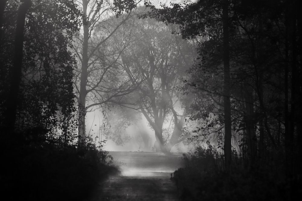 Photograph by Yana Egorova