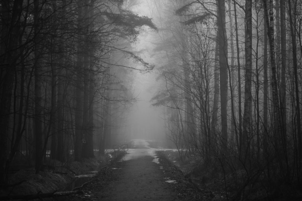 Photograph by Yana Egorova