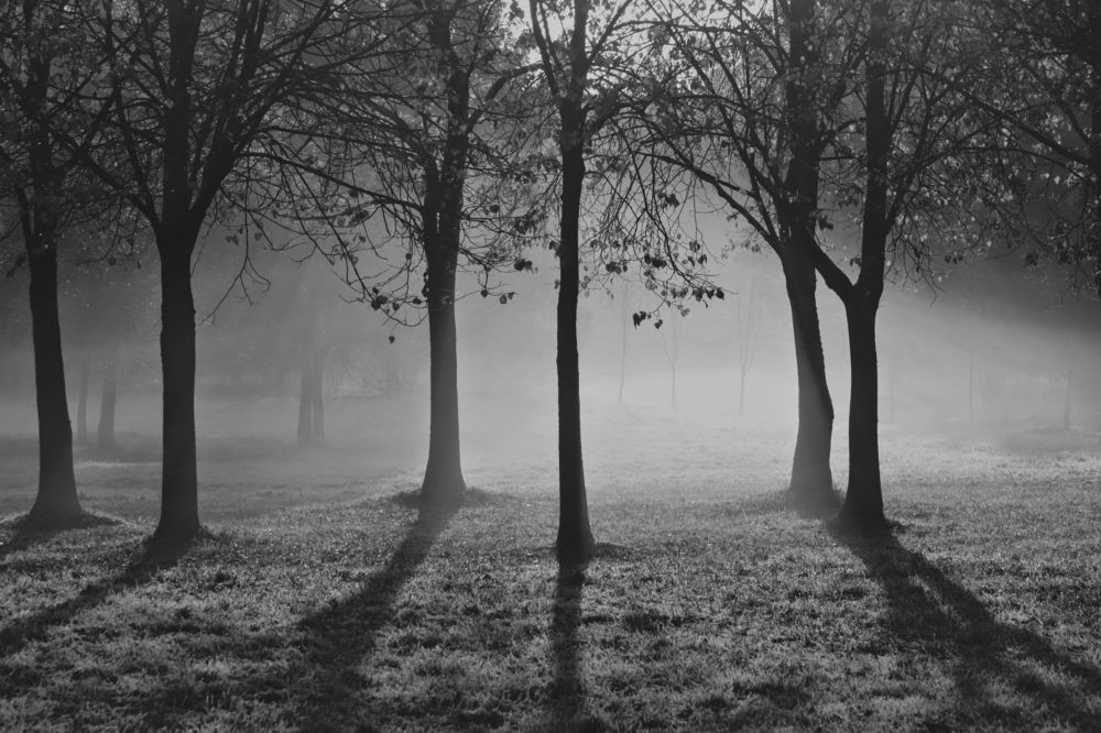 Photograph by Yana Egorova