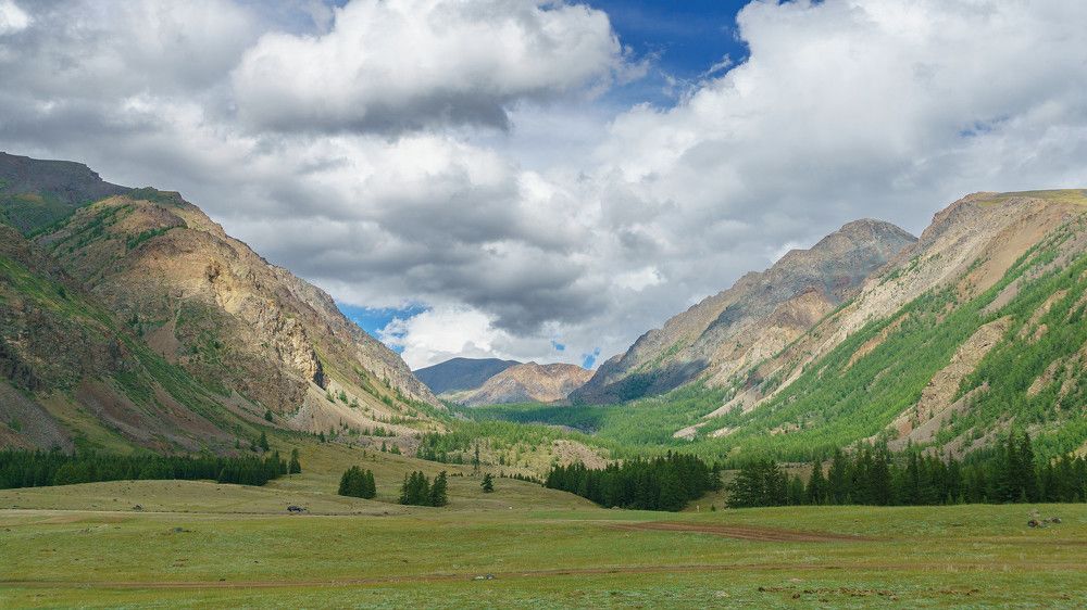 Photograph by Александр Потапов