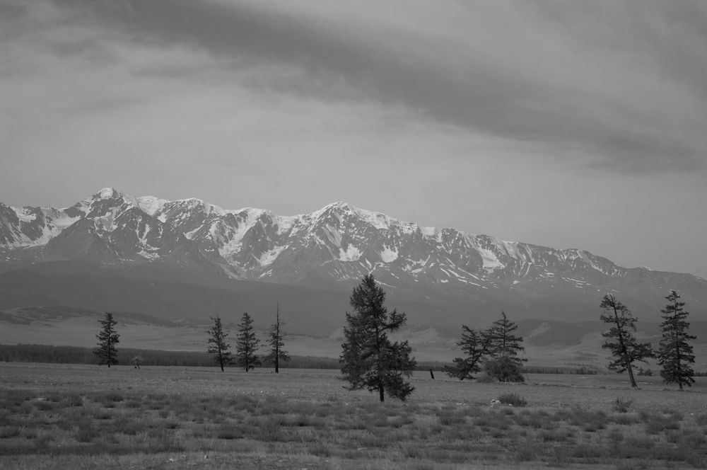 Photograph by Елена Алешкевич