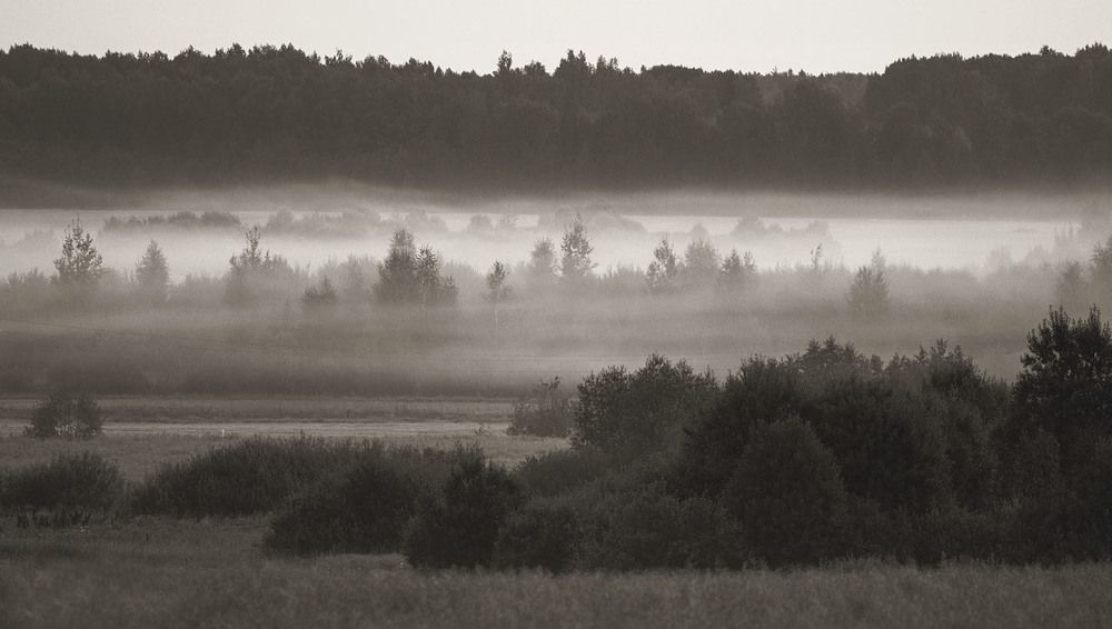 Туманный рассвет