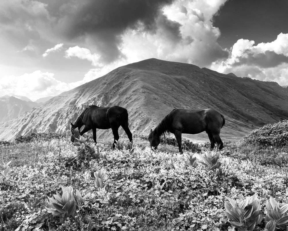 Photograph by Казаков Александр