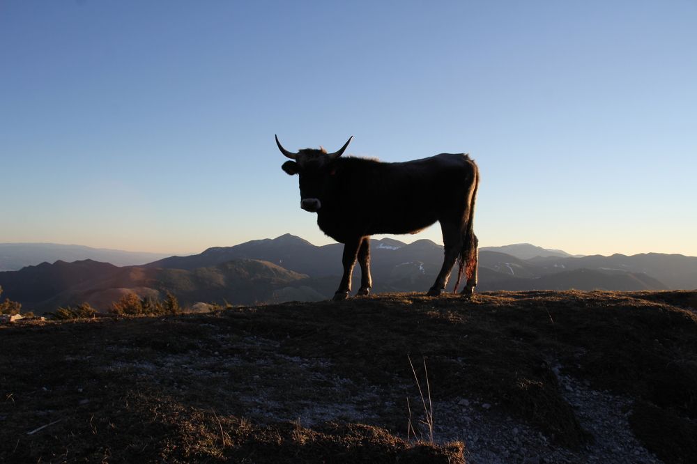 Photograph by Nadzeya