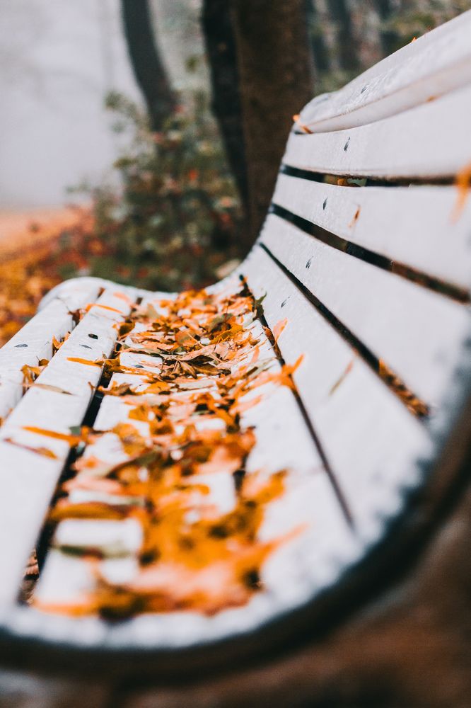 Photograph by Евгения Юркина