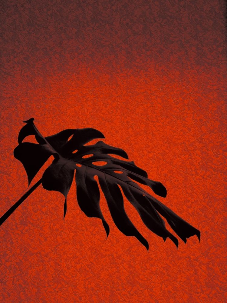 Photograph by Дарья Кирина