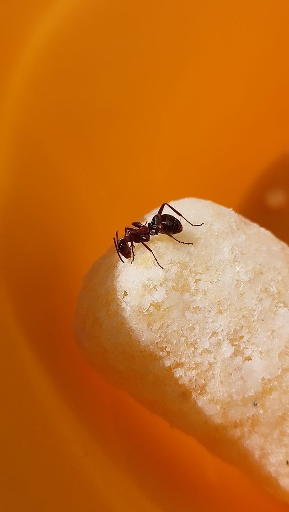 Photograph by Дарья Кирина