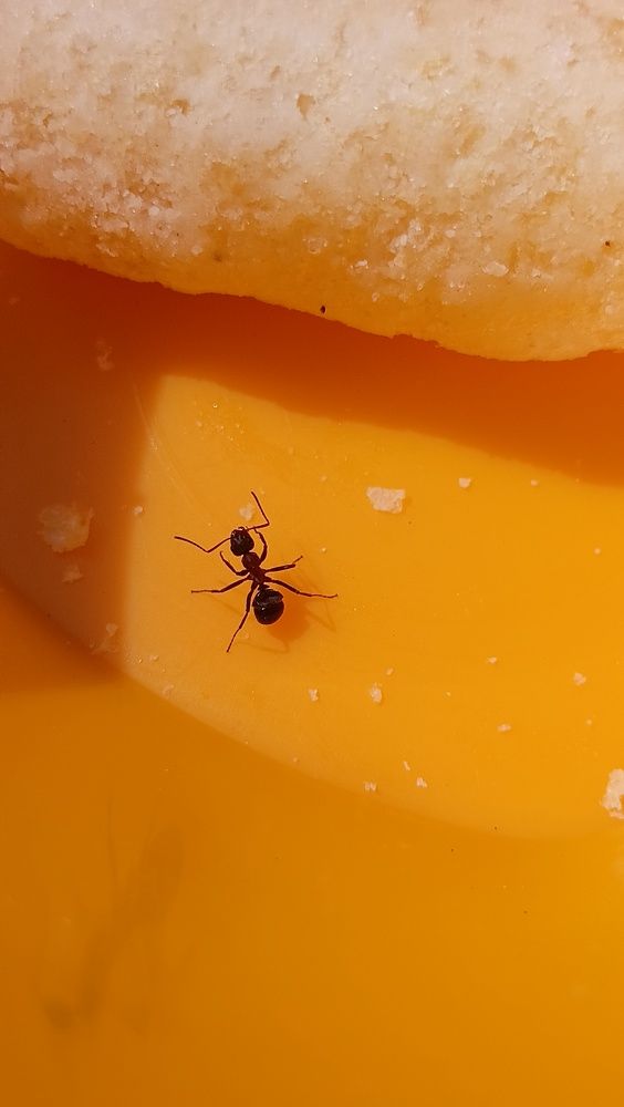 Photograph by Дарья Кирина