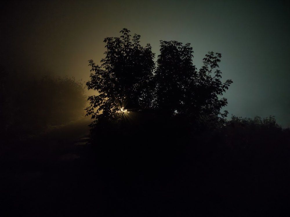 Photograph by Никита Саволайнен