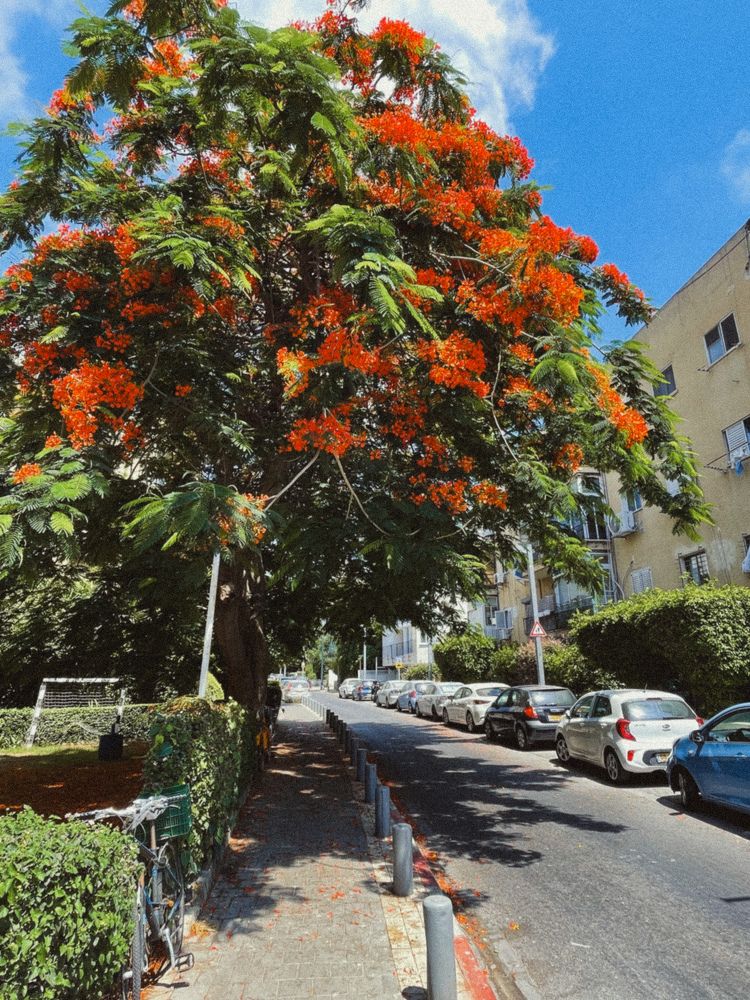 Photograph by Julia Smilovitsky